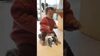 짧은 세상