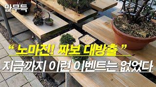 144. 2024 짜보감사 세일 / 선착순 분양