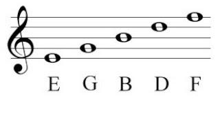 How To Read Notes On The Treble Clef - Basic Music Theory Lesson For Beginners