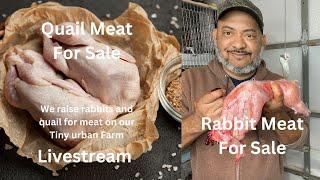 Rabbit Meat Near Me | Quail Meat Near Me - Livestream 7/23/2023