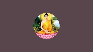 Cuộc sống Mỹ channel 64  is live!