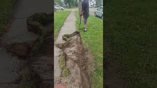 OVERGROWN EDGING #edging #overgrown