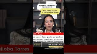 Que Base o Fundamento toma la CORTE para definir un CASO de CUTODIA compartida ?
