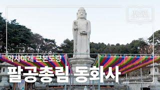 [대구 동구청 유튜브 기자단 2기] 약사여래 근본도량 :: 팔공총림 동화사 - 김종우 기자