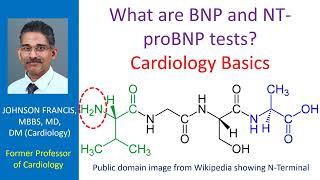 What are BNP and NT proBNP tests? Cardiology Basics