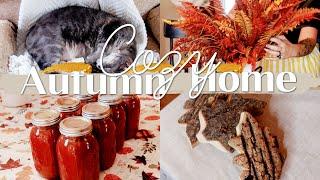 Cozy Vlog at Home | Fall Decorating and Autumn Harvests