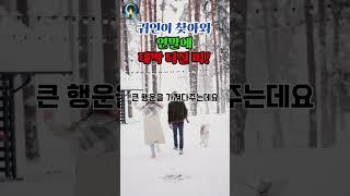 '귀인'이 찾아와 연말에 대박이 터질 띠!  #운세 #사주팔자 #귀인