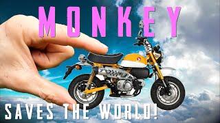 Honda Monkey Bike!  Small yet MIGHTY! - Could this be the answer?