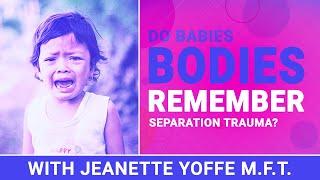 Babies Bodies Remember Separation Trauma at Birth Jeanette Yoffe M.F.T. #adoption adoption expert