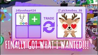 PHEW FINALLY GOT WHAT I WANTED FOR NEON ARCTIC REINDEER THIS IS THE BEST OFFER  Adopt Me - Roblox