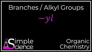 Branches / Alkyl Groups