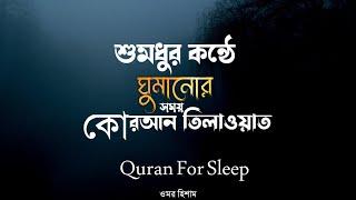 সুমধুর কন্ঠে ঘুমানোর সময় কোরআন তিলাওয়াত শুনুন || Quran For Sleep || Omar Hisham