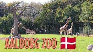Aalborg Zoo, Denmark 