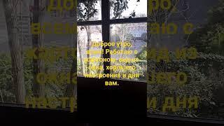 #трудовые #аквалоо #кдц