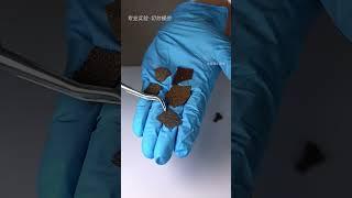 解密金属锰：化学考试里的制氧小能手！ #科普 #材料科學