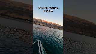 #fishing #alumaweld #columbiariver #walleye