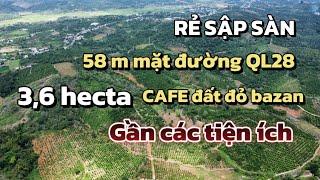 (351-đã bán) Vườn Cafe giá ngộp thở, tổng 3,6 hecta  gần các tiện ích, ôm 68m mặt đường QL28