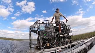 everglades and powerboat