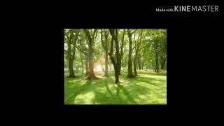 Gurucharana by Shailaja R Bhat- Galiyadidhare