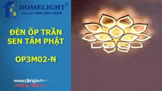 Đèn Sen tâm phật - OP3M02-N - Ecolake View - Đèn trang trí Homelight