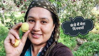 || Mountain Life ( Morning To Evening Routine ) ||Kande Vlog|| Kinnaur HP||