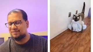 Animal funny video reaction 