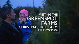 Greenspot Farms Christmas Tree Farm With Kids Montage