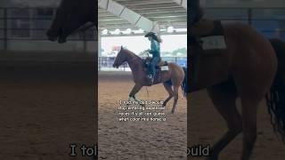 He’s very clearly a palomino  #ridewithsheridan #schoensmoothmoves