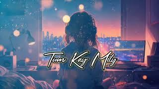 Tum Kya Mile - Rocky Aur Rani Kii Prem Kahaani || [ Slowed + Reverb ] AL Lofi Song #tumkyamile