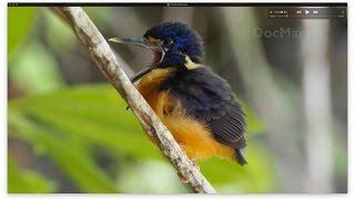 Wild North Moluccas in east Indonesia