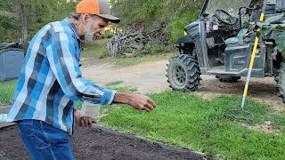 Secret to Growing CARROTS