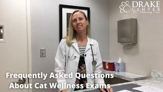 Frequently Asked Questions About Cat Wellness Exams