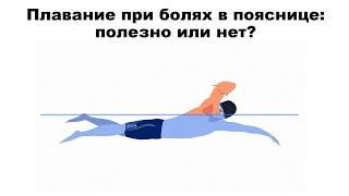 Плавание при болях в пояснице: полезно или нет?