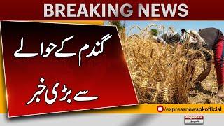 Wheat In Pakistan | Latest Updates | Farmer In Pakistan | Latest News | Pakistan News