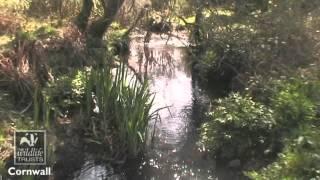 Helman Tor Nature Reserve - Cornwall Wildlife Trust