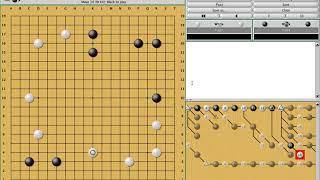 Fuseki (Global opening strategy) Review  - Single Digit Kyu (Go/Weiqi/Baduk Lecture)