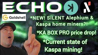 NEW! Goldshell ECHO Kaspa & Alephium ASIC's?! KABOX Pro price drop! (Current state of Kaspa mining)