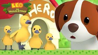 NEW: Adventure Time with HERO!  | It's Hero Time | Leo the Wildlife Ranger | Kids Cartoons