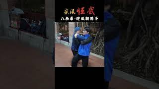 八極拳八大招-迎風朝陽手 拆招 #baji   #kungfu #武術 #martialarts #功夫  #bajiquan #八極拳  #wushu #八大招