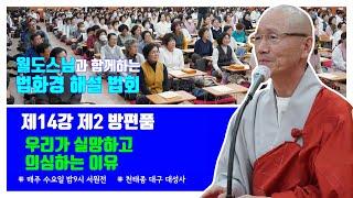우리가 실망하고 의심하는 이유(2025.6.11 대성사 법화경)