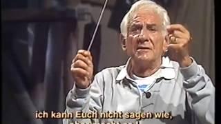 Triangle Lessons with Leonard Bernstein