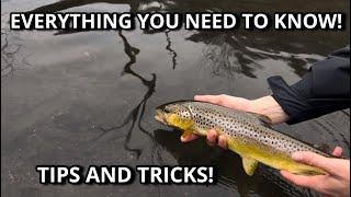 HOW TO catch trout! BEST lures, rod and reel, and more!