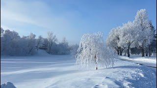 Frosty Beauty--Terrace Park, SD/ 冬日美景--雾凇