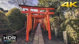 ️ [4K HDR] Walk Through The Red Torii Pathway Of Nezu Shrine | Tokyo, Japan 