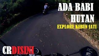 Wisata Kebon Jati Pancawati - Motovlog Explore Bogor