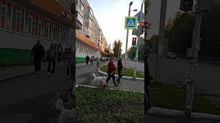 Новости  Красноуральска 4.08.2024. Ремонтные работы. #shorts #красноуральск