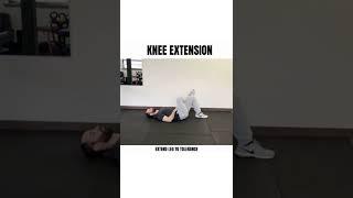 SCIATICA PAIN..  Best Exercises, Rehab and Stretches for Pain Relief