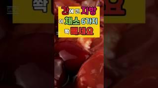 간 좋은 음식 6가지 의사들이 추천 #건강 #백세레시피