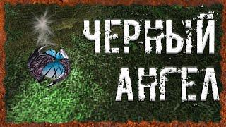 Черный Ангел Тайник Волка на Радаре S.T.A.L.K.E.R. ОП 2.2 Народная солянка