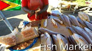 FISH MARKET GUYANA STABROEK MARKET | (BUY CLEAN COOK & EAT) vlog | PhilipVlogs | PhilipVlogsMD